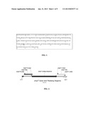 RECOMBINANT APOA-1M FROM ENGINEERED BACTERIA diagram and image