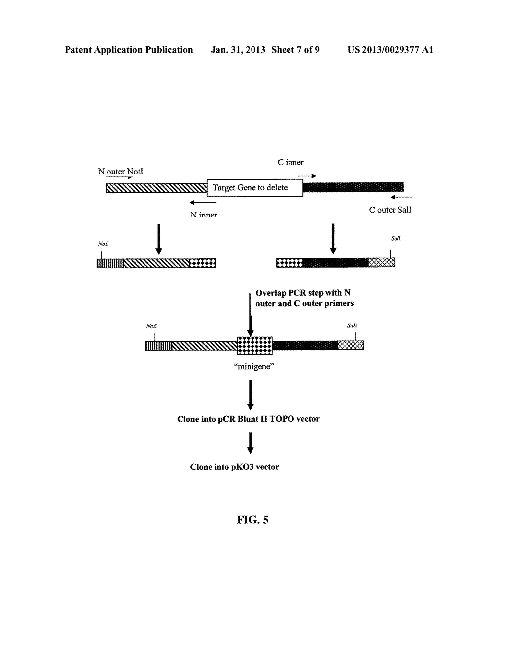 RECOMBINANT APOA-1M FROM ENGINEERED BACTERIA - diagram, schematic, and image 08