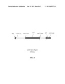 RECOMBINANT APOA-1M FROM ENGINEERED BACTERIA diagram and image