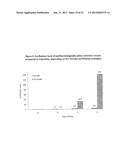 VIRUS-BASED VECTOR COMPOSITIONS USEFUL FOR TRANSDUCING EUKARYOTIC CELLS diagram and image