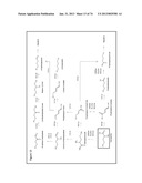 MICROORGANISMS FOR THE PRODUCTION OF 1,4-BUTANEDIOL, 4-HYDROXYBUTANAL,     4-HYDROXYBUTYRYL-COA, PUTRESCINE AND RELATED COMPOUNDS, AND METHODS     RELATED THERETO diagram and image