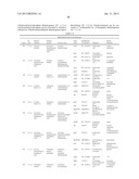 MICROORGANISMS FOR THE PRODUCTION OF 1,4-BUTANEDIOL, 4-HYDROXYBUTANAL,     4-HYDROXYBUTYRYL-COA, PUTRESCINE AND RELATED COMPOUNDS, AND METHODS     RELATED THERETO diagram and image