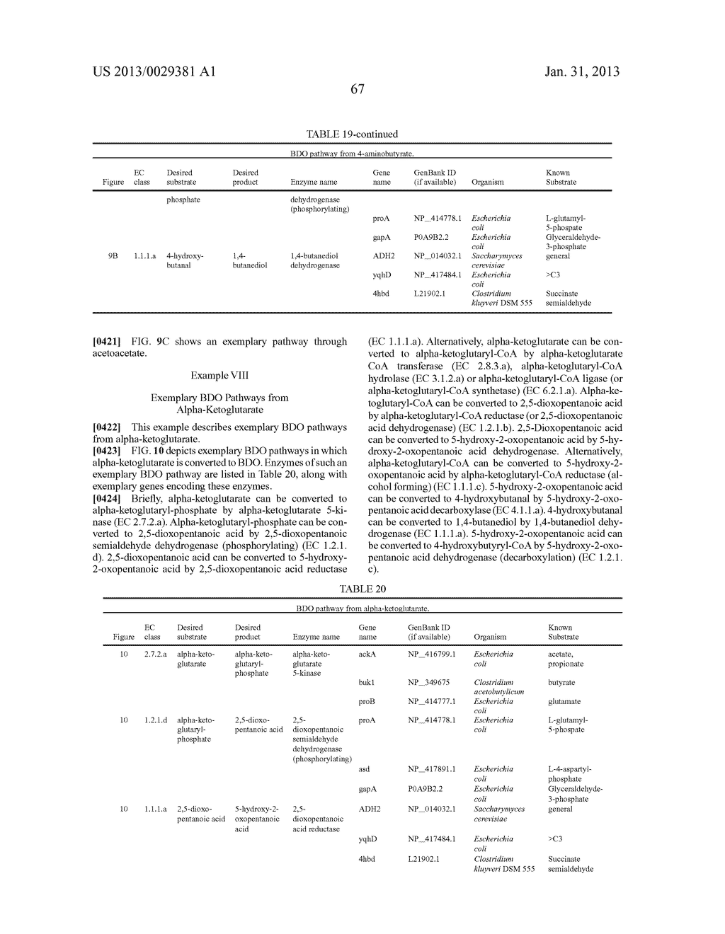 MICROORGANISMS FOR THE PRODUCTION OF 1,4-BUTANEDIOL, 4-HYDROXYBUTANAL,     4-HYDROXYBUTYRYL-COA, PUTRESCINE AND RELATED COMPOUNDS, AND METHODS     RELATED THERETO - diagram, schematic, and image 142