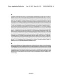 MICROORGANISMS FOR THE PRODUCTION OF 1,4-BUTANEDIOL, 4-HYDROXYBUTANAL,     4-HYDROXYBUTYRYL-COA, PUTRESCINE AND RELATED COMPOUNDS, AND METHODS     RELATED THERETO diagram and image