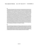 MICROORGANISMS FOR THE PRODUCTION OF 1,4-BUTANEDIOL, 4-HYDROXYBUTANAL,     4-HYDROXYBUTYRYL-COA, PUTRESCINE AND RELATED COMPOUNDS, AND METHODS     RELATED THERETO diagram and image