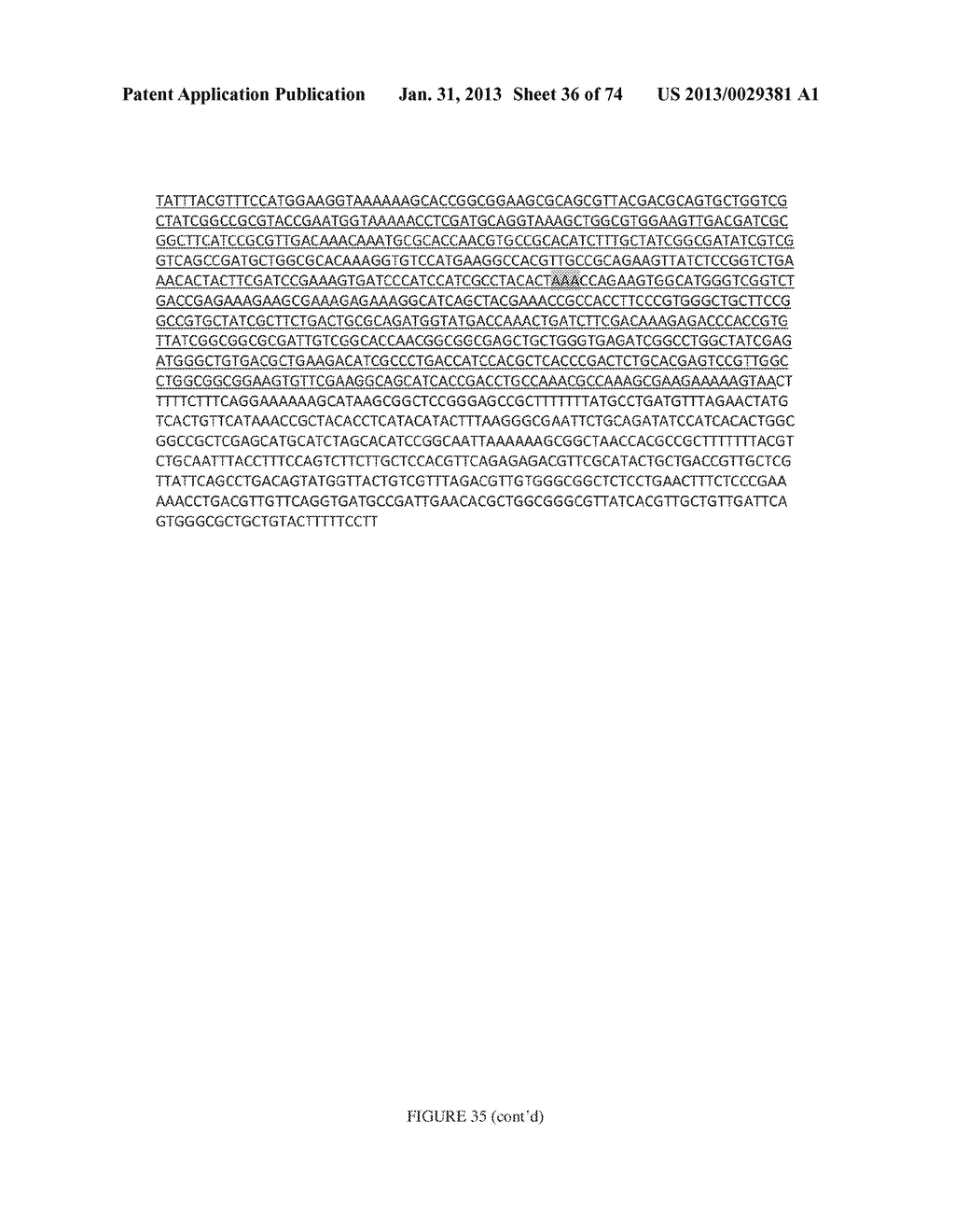 MICROORGANISMS FOR THE PRODUCTION OF 1,4-BUTANEDIOL, 4-HYDROXYBUTANAL,     4-HYDROXYBUTYRYL-COA, PUTRESCINE AND RELATED COMPOUNDS, AND METHODS     RELATED THERETO - diagram, schematic, and image 37