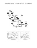 MICROORGANISMS FOR THE PRODUCTION OF 1,4-BUTANEDIOL, 4-HYDROXYBUTANAL,     4-HYDROXYBUTYRYL-COA, PUTRESCINE AND RELATED COMPOUNDS, AND METHODS     RELATED THERETO diagram and image