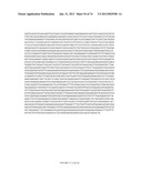 MICROORGANISMS FOR THE PRODUCTION OF 1,4-BUTANEDIOL, 4-HYDROXYBUTANAL,     4-HYDROXYBUTYRYL-COA, PUTRESCINE AND RELATED COMPOUNDS, AND METHODS     RELATED THERETO diagram and image