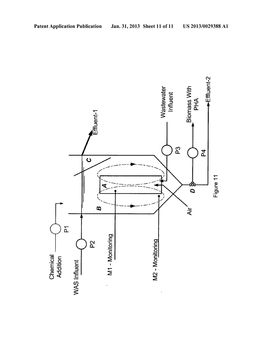 Method for Accumulation of Polyhydroxyalkanoates in Biomass with On-Line     Monitoring for Feed Rate Control and Process Termination - diagram, schematic, and image 12