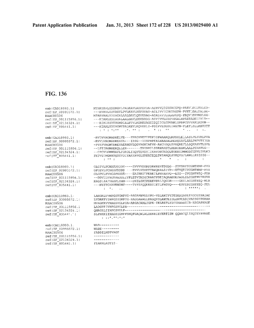 GENETIC ELEMENTS, PROTEINS, AND ASSOCIATED METHODS INCLUDING APPLICATION     OF ADDIITNAL GENETIC INFORMATION TO GRAM (+) THERMOACIDOPHILES - diagram, schematic, and image 173