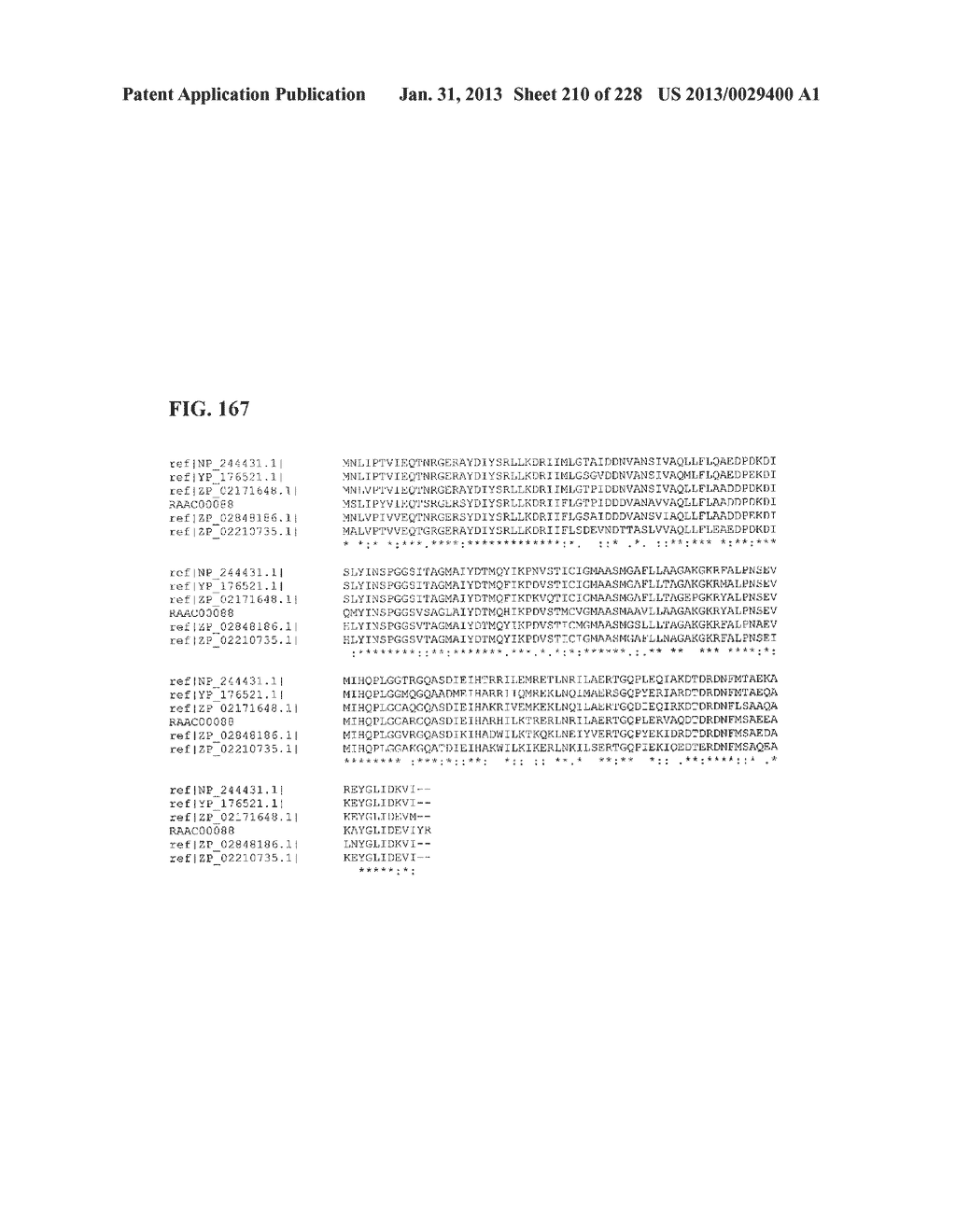 GENETIC ELEMENTS, PROTEINS, AND ASSOCIATED METHODS INCLUDING APPLICATION     OF ADDIITNAL GENETIC INFORMATION TO GRAM (+) THERMOACIDOPHILES - diagram, schematic, and image 211