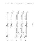 BACILLUS STRAIN FOR INCREASED PROTEIN PRODUCTION diagram and image