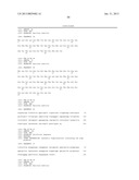 BACILLUS STRAIN FOR INCREASED PROTEIN PRODUCTION diagram and image