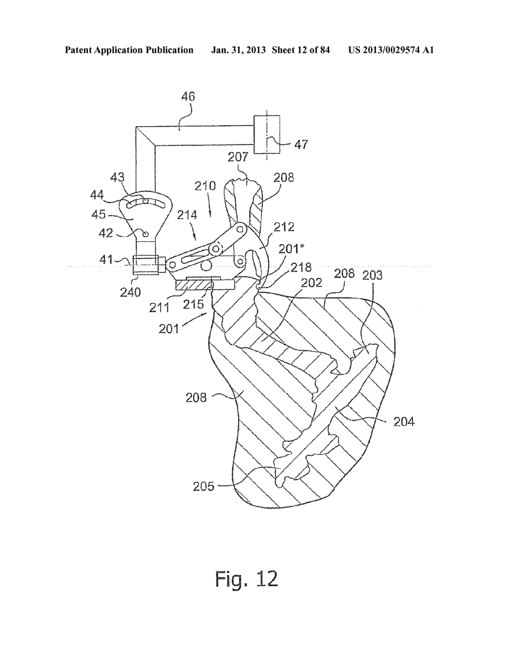 SYSTEM AND METHOD FOR PROCESSING SLAUGHTERED ANIMALS AND/OR PARTS THEREOF - diagram, schematic, and image 13