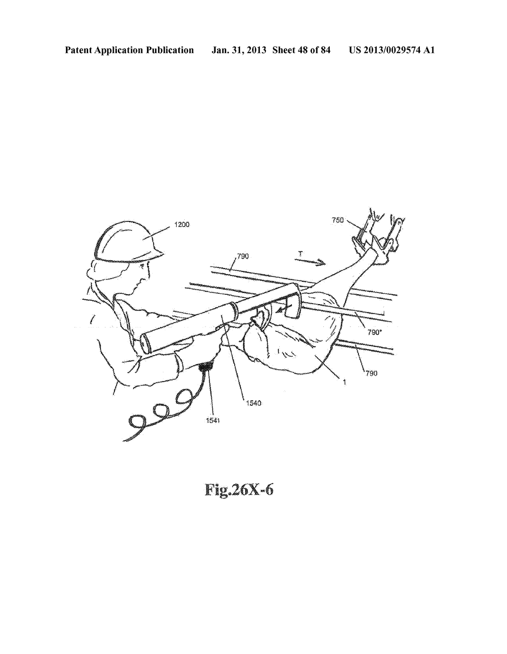 SYSTEM AND METHOD FOR PROCESSING SLAUGHTERED ANIMALS AND/OR PARTS THEREOF - diagram, schematic, and image 49