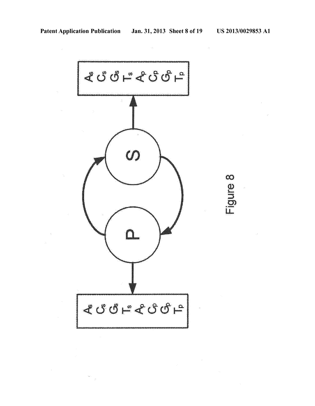 CLASSIFICATION OF NUCLEIC ACID TEMPLATES - diagram, schematic, and image 09