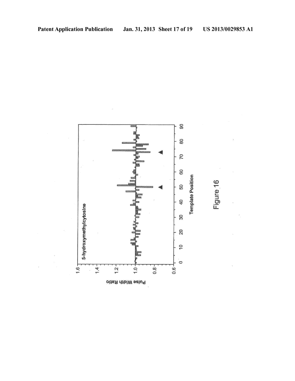 CLASSIFICATION OF NUCLEIC ACID TEMPLATES - diagram, schematic, and image 18