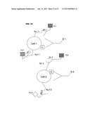 Method for Determining an Attribute Profile of Biological Samples diagram and image