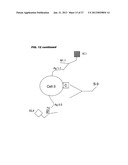 Method for Determining an Attribute Profile of Biological Samples diagram and image