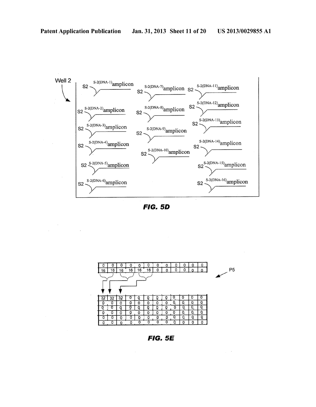 Sieving of Nucleic Acid Samples - diagram, schematic, and image 12