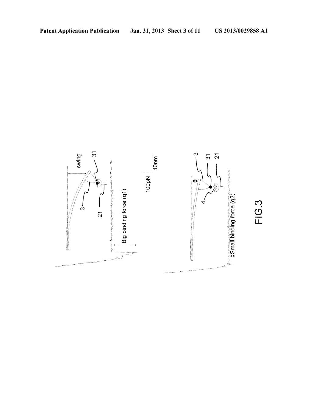 Method of Drug Screening through Quantitative Detection by Atomic Force     Microscopy and Effective Protein Chips Development through Method Thereof - diagram, schematic, and image 04