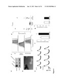 CARDIOMYOCYTES FROM INDUCED PLURIPOTENT STEM CELLS FROM PATIENTS AND     METHODS OF USE THEREOF diagram and image