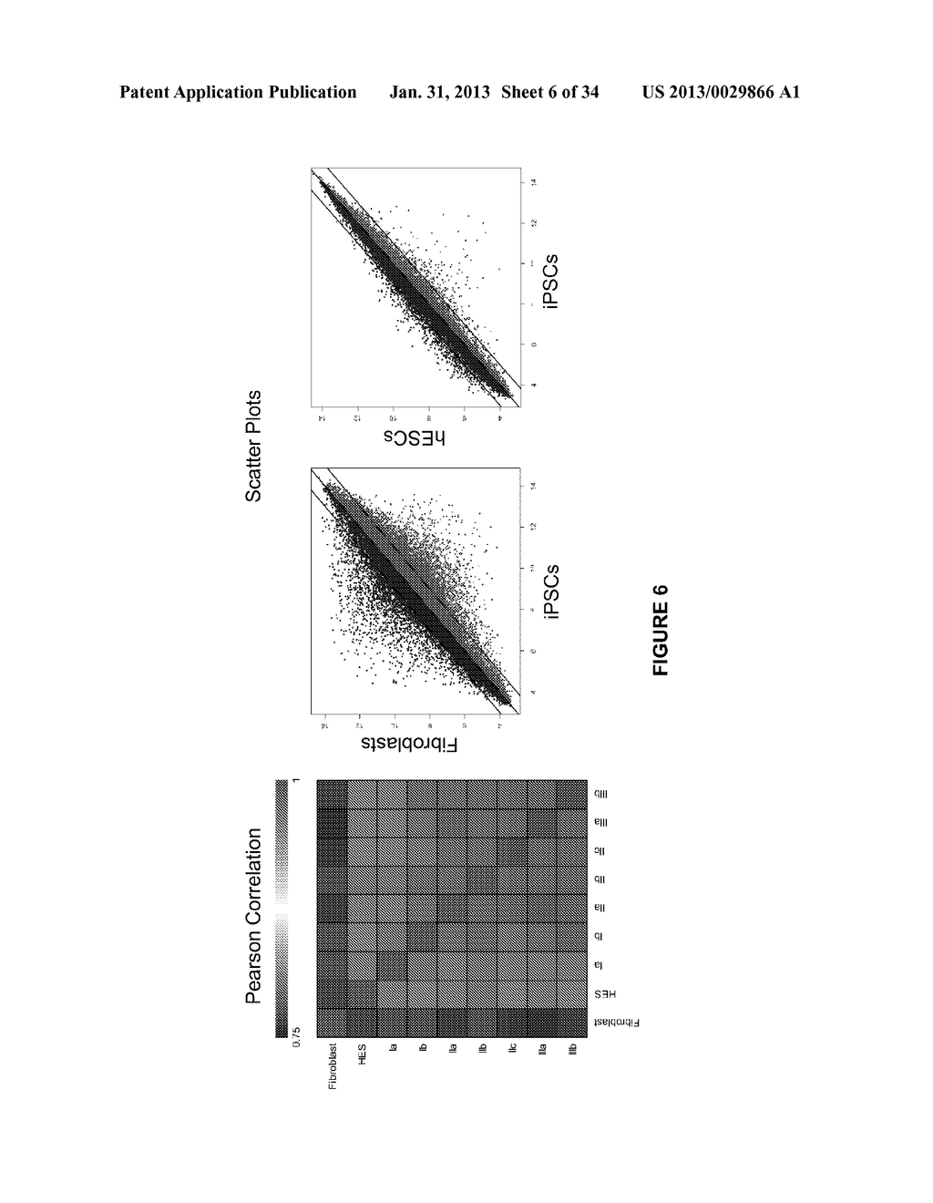 CARDIOMYOCYTES FROM INDUCED PLURIPOTENT STEM CELLS FROM PATIENTS AND     METHODS OF USE THEREOF - diagram, schematic, and image 07