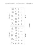 CARDIOMYOCYTES FROM INDUCED PLURIPOTENT STEM CELLS FROM PATIENTS AND     METHODS OF USE THEREOF diagram and image