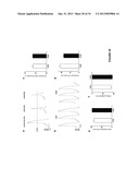 CARDIOMYOCYTES FROM INDUCED PLURIPOTENT STEM CELLS FROM PATIENTS AND     METHODS OF USE THEREOF diagram and image