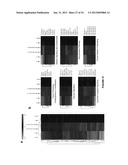CARDIOMYOCYTES FROM INDUCED PLURIPOTENT STEM CELLS FROM PATIENTS AND     METHODS OF USE THEREOF diagram and image