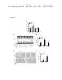 CARDIOMYOCYTES FROM INDUCED PLURIPOTENT STEM CELLS FROM PATIENTS AND     METHODS OF USE THEREOF diagram and image