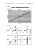 METHODS AND COMPOSITIONS FOR DIAGNOSING PULMONARY FIBROSIS SUBTYPES AND     ASSESSING THE RISK OF PRIMARY GRAFT DYSFUNCTION AFTER LUNG     TRANSPLANTATION diagram and image