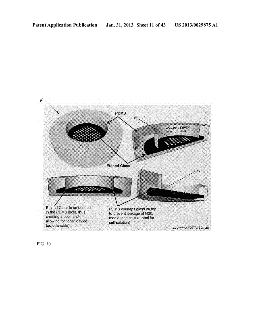 TEMPLATED ISLET CELLS AND SMALL ISLET CELL CLUSTERS FOR DIABETES TREATMENT - diagram, schematic, and image 12