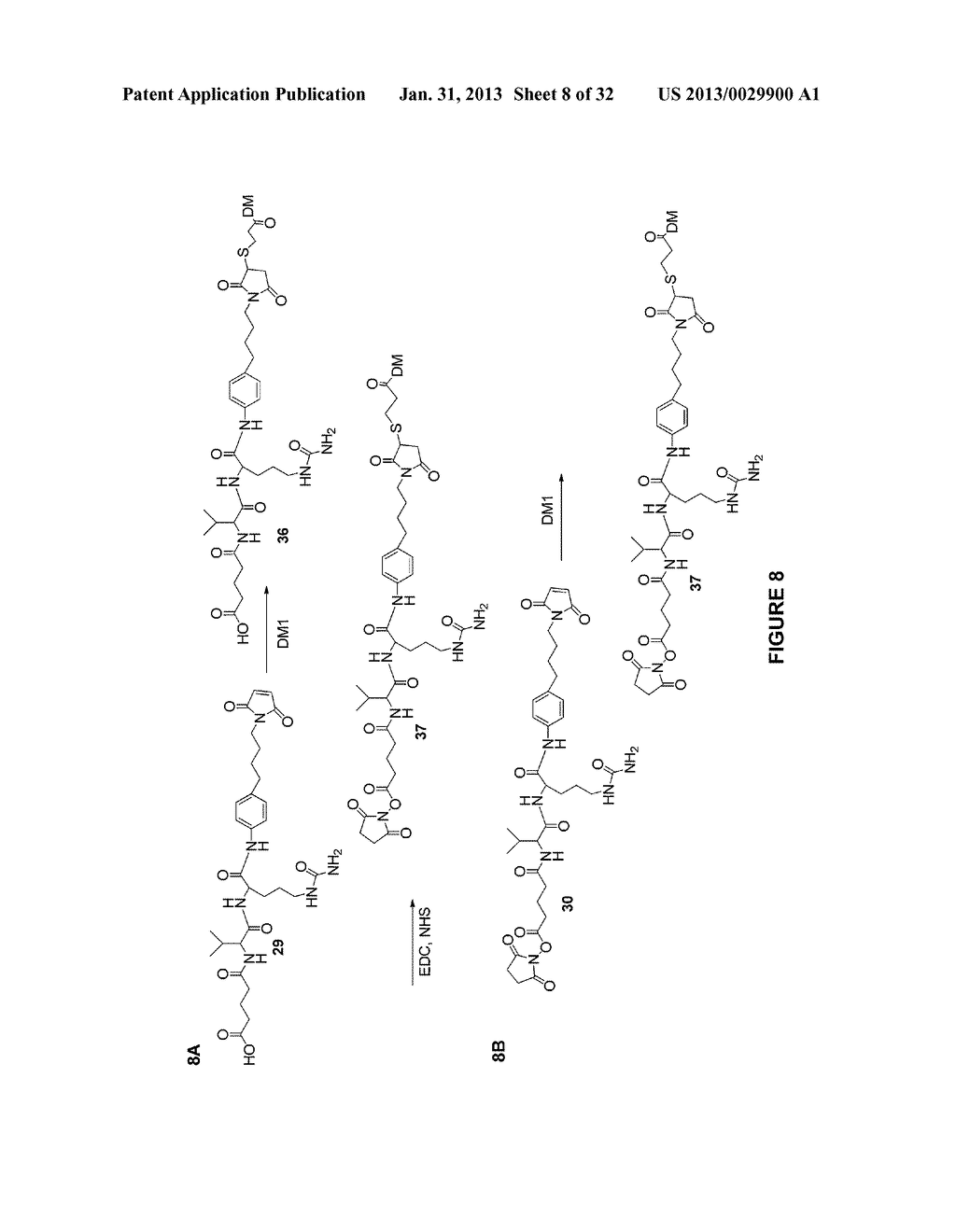 NOVEL MAYTANSINOID DERIVATIVES WITH PEPTIDE LINKER AND CONJUGATES THEREOF - diagram, schematic, and image 09