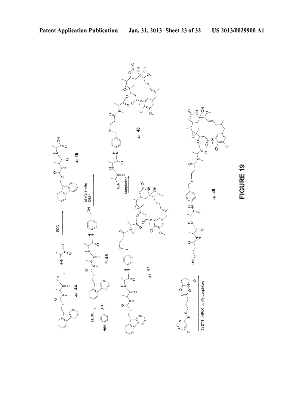 NOVEL MAYTANSINOID DERIVATIVES WITH PEPTIDE LINKER AND CONJUGATES THEREOF - diagram, schematic, and image 24