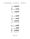 INHIBITING PEPTIDES DERIVED FROM TREM-LIKE TRANSCRIPT 1 (TLT-1) AND USES     THEREOF diagram and image