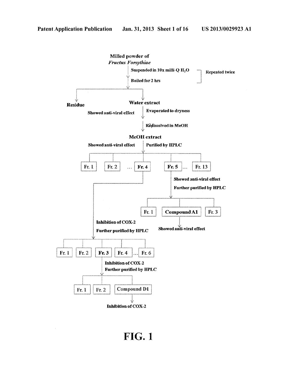 Materials and Methods for Prevention and Treatment of Viral Infections - diagram, schematic, and image 02