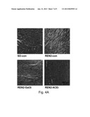 INHIBITORS OF GALECTIN-3 AND METHODS OF USE THEREOF diagram and image