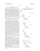 [5, 6] HETEROCYCLIC COMPOUND diagram and image