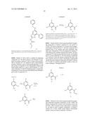 Gyrase inhibitors and uses thereof diagram and image