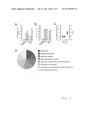 Obesity Small Molecules diagram and image