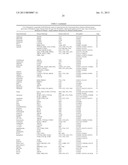 Obesity Small Molecules diagram and image