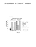 RNAi Modulation Of RSV And Therapeutic Uses Thereof diagram and image