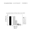 RNAi Modulation Of RSV And Therapeutic Uses Thereof diagram and image