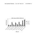 RNAi Modulation Of RSV And Therapeutic Uses Thereof diagram and image