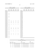 RNAi Modulation Of RSV And Therapeutic Uses Thereof diagram and image