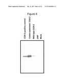 TREATING GLAUCOMA, CARDIOVASCULAR DISEASES, AND RENAL DISEASES diagram and image