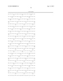 T1R HETERO-OLIGOMERIC TASTE RECEPTORS, CELL LINES THAT EXPRESS SAID     RECEPTORS, AND TASTE COMPOUNDS diagram and image