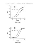 T1R HETERO-OLIGOMERIC TASTE RECEPTORS, CELL LINES THAT EXPRESS SAID     RECEPTORS, AND TASTE COMPOUNDS diagram and image