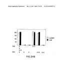 T1R HETERO-OLIGOMERIC TASTE RECEPTORS, CELL LINES THAT EXPRESS SAID     RECEPTORS, AND TASTE COMPOUNDS diagram and image